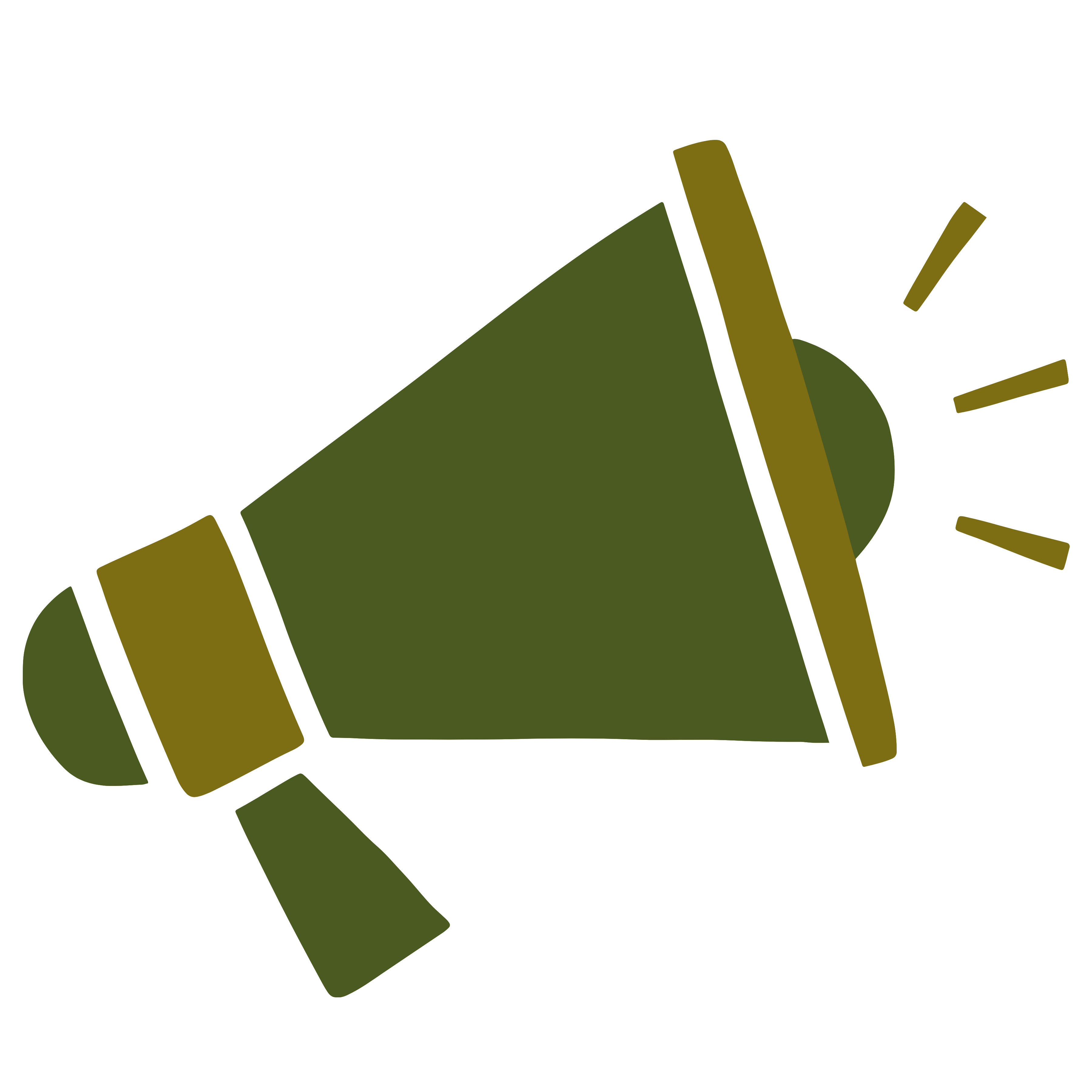 Social media Advertising